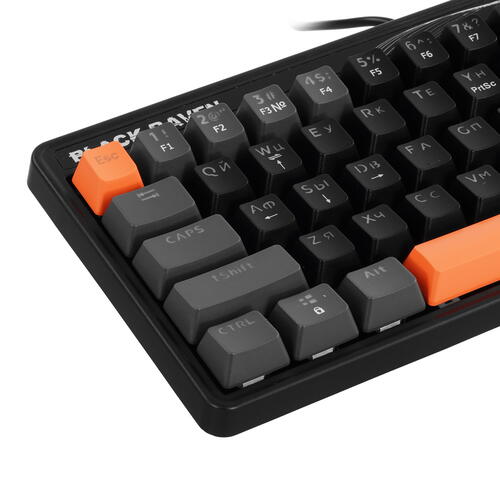 Купить Клавиатура  проводная Defender Black Raven GK-417  5413472. Характеристики, отзывы и цены в Донецке