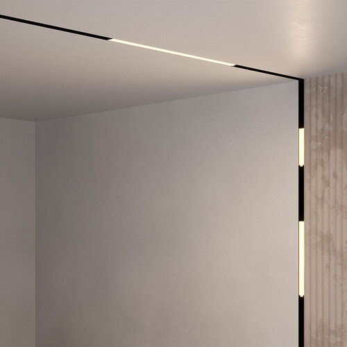 Купить Светильник трековый Maytoni TR074-2-12W4K-B  9169337. Характеристики, отзывы и цены в Донецке