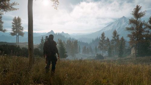 Купить Игра Days Gone (PS4)  5403349. Характеристики, отзывы и цены в Донецке