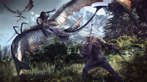 Купить Игра The Witcher 3: Wild Hunt - Game of the Year Edition (GOG)  5601343. Характеристики, отзывы и цены в Донецке