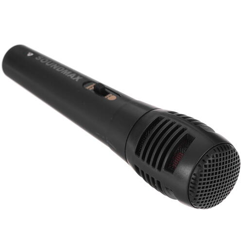 Купить Портативная аудиосистема Soundmax SM-MS4206, черный  5077435. Характеристики, отзывы и цены в Донецке