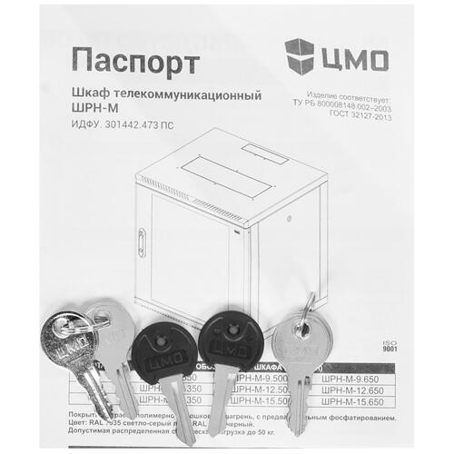 Купить Шкаф коммутационный ЦМО ШРН-М-9.500  8134981. Характеристики, отзывы и цены в Донецке