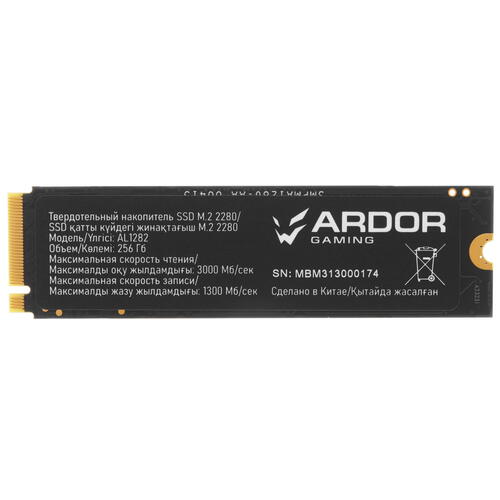 Купить 256 ГБ M.2 NVMe накопитель ARDOR GAMING Ally AL1282 [ALMAYM1024-AL1282]  5405605. Характеристики, отзывы и цены в Донецке