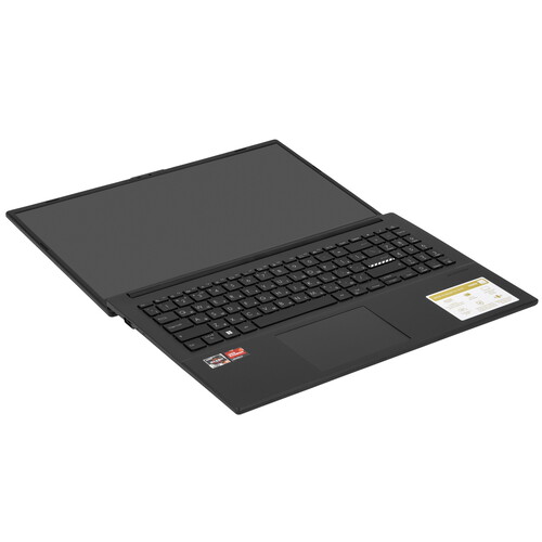 Купить 15.6" Ноутбук ASUS Vivobook Go 15 OLED E1504FA-L1010 черный  5456490. Характеристики, отзывы и цены в Донецке