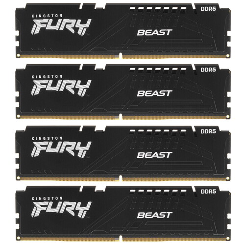 Купить Оперативная память Kingston FURY Beast Black [KF556C40BBK4-64] 64 ГБ  5436428. Характеристики, отзывы и цены в Донецке