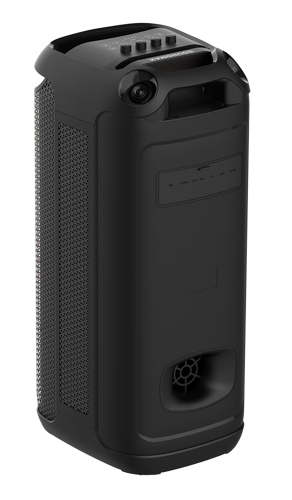 Купить Портативная аудиосистема Soundmax SM-MS4209, черный  5466929. Характеристики, отзывы и цены в Донецке