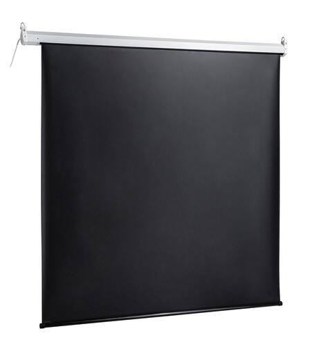 Купить 136" Экран для проектора DEXP WE-96  5406748. Характеристики, отзывы и цены в Донецке