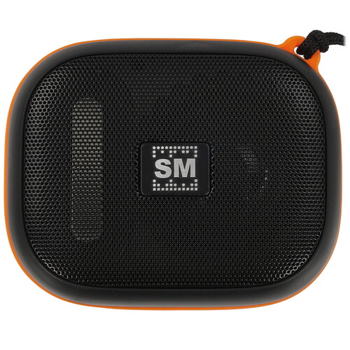 Купить Портативная колонка Soundmax SM-PS5009B, черный  9094731. Характеристики, отзывы и цены в Донецке