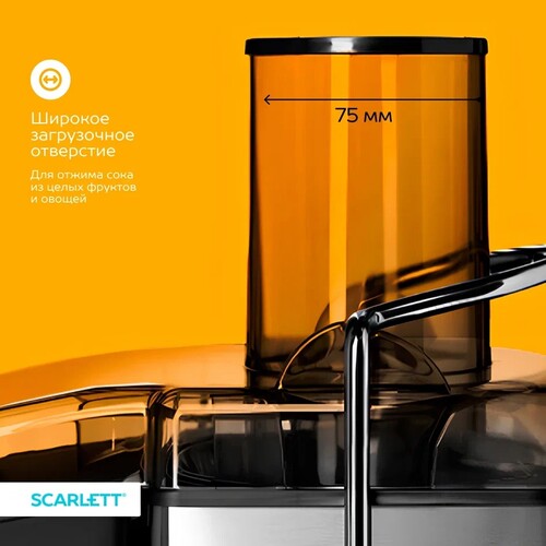 Купить Соковыжималка электрическая Scarlett SC-JE50S64 серебристый  9276015. Характеристики, отзывы и цены в Донецке