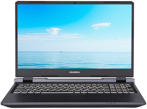 Купить 15.6" Ноутбук Colorful EVOL P15 24 серый  5497731. Характеристики, отзывы и цены в Донецке