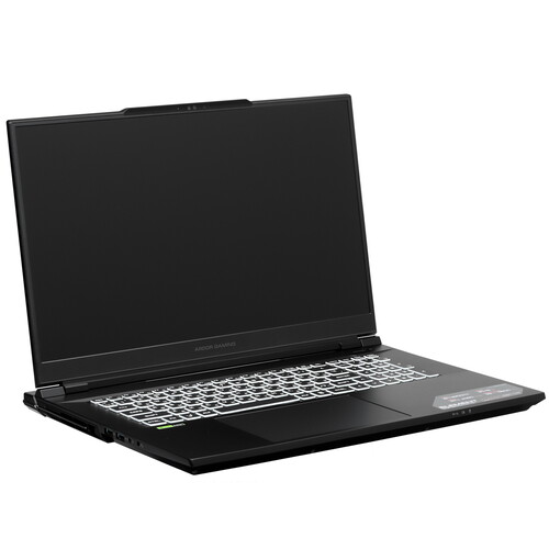 Купить 17.3" Ноутбук ARDOR Gaming ELEMENT L17-I9ND400 черный  9083819. Характеристики, отзывы и цены в Донецке