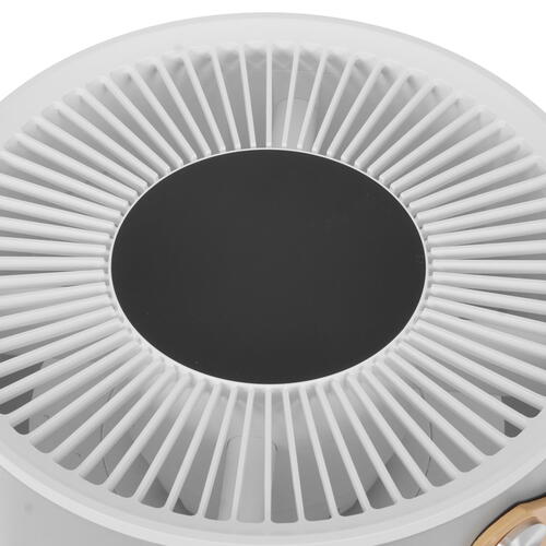 Купить Очиститель воздуха Smartmi Air Purifier P1 ZMKQJHQP12 серый  5335994. Характеристики, отзывы и цены в Донецке