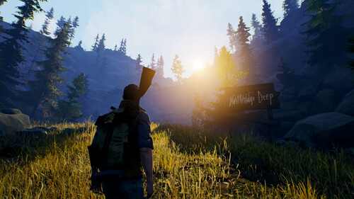 Купить Игра Open Country (Steam)  5622374. Характеристики, отзывы и цены в Донецке