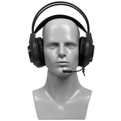 Купить Проводные наушники Aceline AHG-200 черный 2023  5426086. Характеристики, отзывы и цены в Донецке