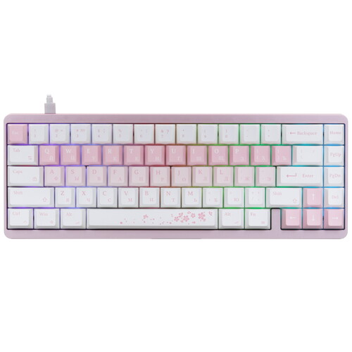 Купить Клавиатура проводная Varmilo Muse 65 Sakura  5486631. Характеристики, отзывы и цены в Донецке