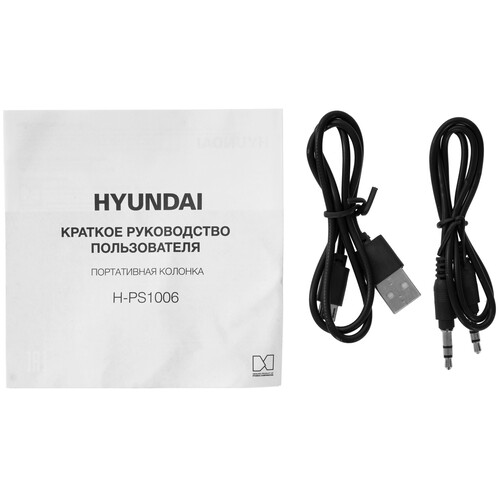 Купить Портативная колонка Hyundai H-PS1006, черный  5423616. Характеристики, отзывы и цены в Донецке