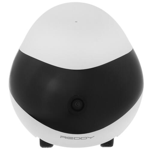 Купить Умный робот-друг REDDY SE  5412856. Характеристики, отзывы и цены в Донецке