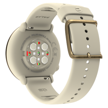 Купить Спортивные часы Polar Ignite 2  5641952. Характеристики, отзывы и цены в Донецке