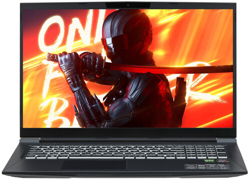 Купить 17.3" Ноутбук MAIBENBEN X17A черный  5483617. Характеристики, отзывы и цены в Донецке