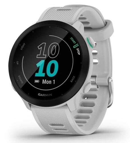 Купить Спортивные часы Garmin Forerunner 55  5407834. Характеристики, отзывы и цены в Донецке