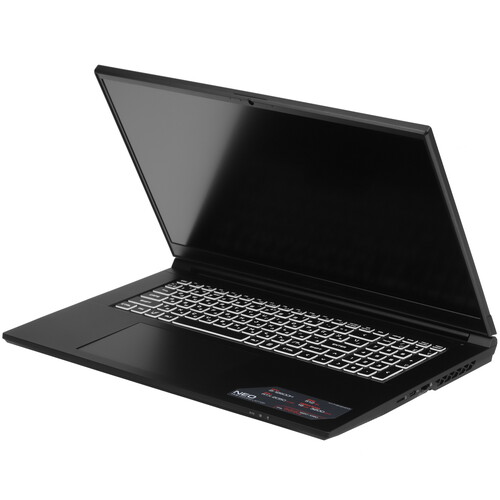 Купить 17.3" Ноутбук ARDOR GAMING NEO N17-I5ND403 черный  9083306. Характеристики, отзывы и цены в Донецке