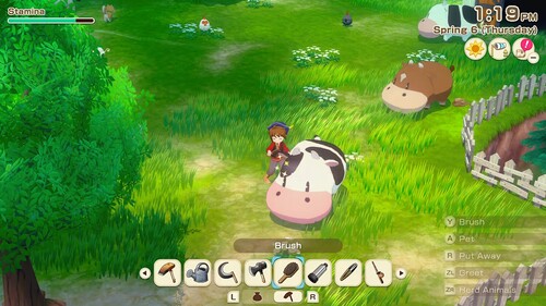 Купить Игра Story Of Seasons: Grand Bazaar (Switch)  5635709. Характеристики, отзывы и цены в Донецке