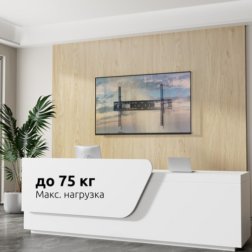 Купить Кронштейн для ТВ UNITEKI SNM1696 черный  9298841. Характеристики, отзывы и цены в Донецке