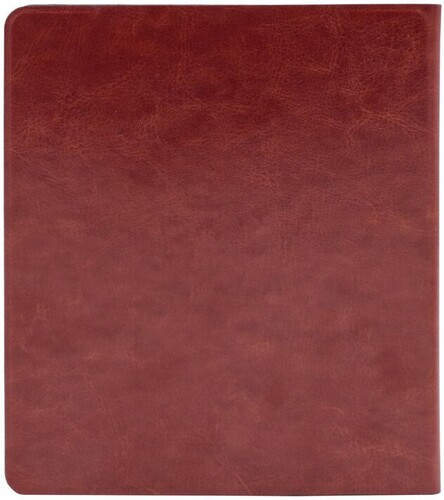 Купить 7" Электронная книга ОНИКС БУКС Галилео 3 черный + чехол  5635032. Характеристики, отзывы и цены в Донецке