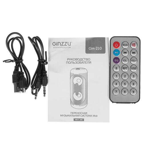 Купить Портативная аудиосистема GINZZU GM-210, черный  8191076. Характеристики, отзывы и цены в Донецке