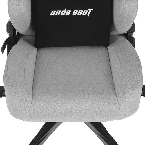 Купить Кресло игровое AndaSeat Phantom 3 серый  5352628. Характеристики, отзывы и цены в Донецке