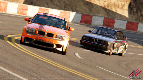 Купить Игра Assetto Corsa (Steam)  5624977. Характеристики, отзывы и цены в Донецке