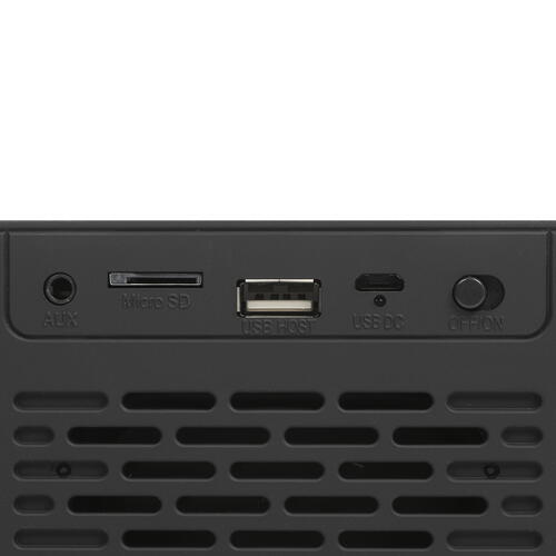 Купить Портативная колонка Aceline P250, черный  5075403. Характеристики, отзывы и цены в Донецке