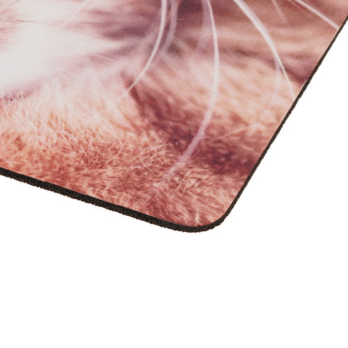 Купить Коврик DEXP OM-XS Kitten (XS) разноцветный  1048588. Характеристики, отзывы и цены в Донецке