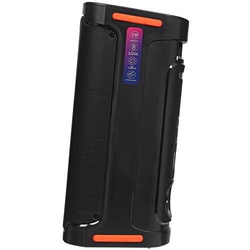 Купить Портативная аудиосистема Fiero Hope 100 FR950, черный  5099202. Характеристики, отзывы и цены в Донецке