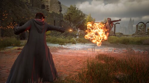 Купить Игра Hogwarts Legacy (Switch)  5630211. Характеристики, отзывы и цены в Донецке