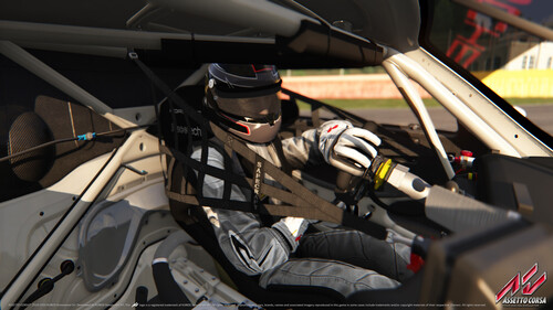 Купить Дополнение для игры Assetto Corsa - Porsche Pack III (Steam)  5622272. Характеристики, отзывы и цены в Донецке