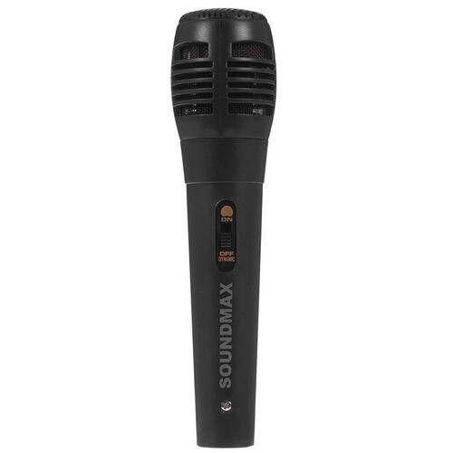 Купить Портативная аудиосистема Soundmax SM-MS4206, черный  5077435. Характеристики, отзывы и цены в Донецке