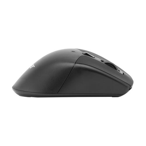 Купить Мышь беспроводная Acer OMR170 [ZL.MCEEE.00N] черный  5016802. Характеристики, отзывы и цены в Донецке