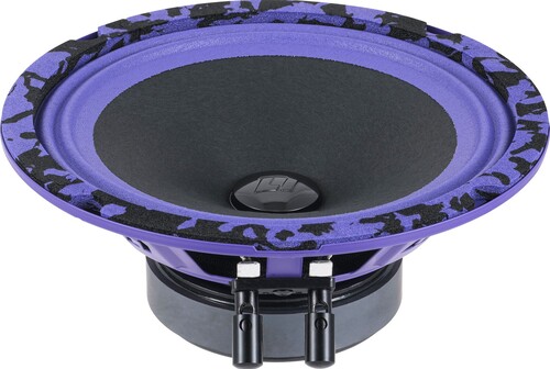 Купить Среднечастотная акустическая система DL Audio Piranha 165 V.2  9285651. Характеристики, отзывы и цены в Донецке