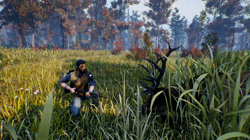 Купить Игра Open Country (Steam)  5622374. Характеристики, отзывы и цены в Донецке