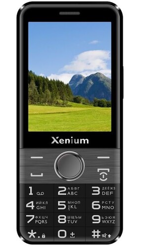 Купить Сотовый телефон Xenium X800 черный/серый  5628264. Характеристики, отзывы и цены в Донецке