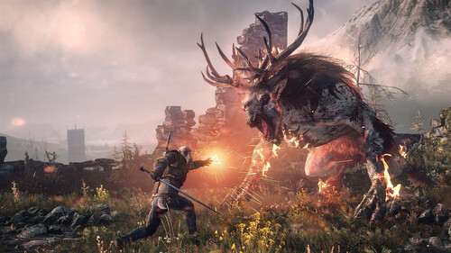 Купить Игра The Witcher 3: Wild Hunt - Game of the Year Edition (GOG)  5601343. Характеристики, отзывы и цены в Донецке