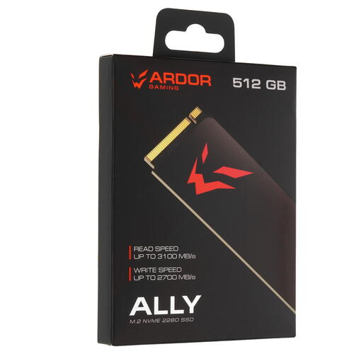 Купить 512 ГБ M.2 NVMe накопитель ARDOR GAMING Ally AL1284 [ALMAYM1024-AL1284]  5405492. Характеристики, отзывы и цены в Донецке