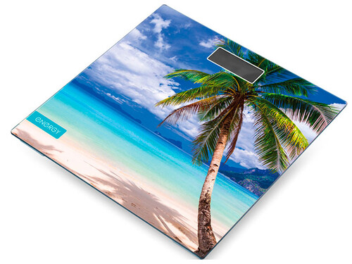 Купить Весы Energy EN-419P разноцветный  5361837. Характеристики, отзывы и цены в Донецке