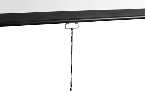 Купить 120" Экран для проектора Digis Optimal-D DSOD-4304  1626407. Характеристики, отзывы и цены в Донецке