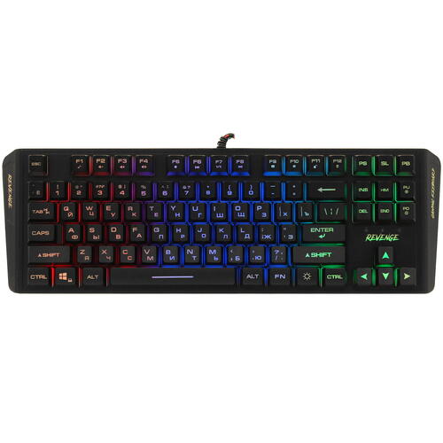 Купить Клавиатура проводная Aceline GS Revenge Rainbow  5424878. Характеристики, отзывы и цены в Донецке
