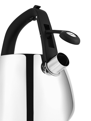 Купить Чайник для плиты Polaris Mela-2.5L серебристый  9140001. Характеристики, отзывы и цены в Донецке