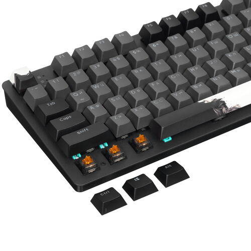 Купить Клавиатура  проводная Red Square Keyrox TKL Equinox  5417282. Характеристики, отзывы и цены в Донецке