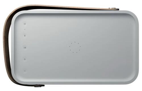 Купить Портативная колонка Bang & Olufsen Beolit 20, серый  5449700. Характеристики, отзывы и цены в Донецке