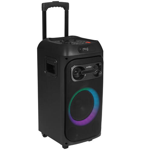 Купить Портативная аудиосистема Aceline LP-V150, черный  5080806. Характеристики, отзывы и цены в Донецке